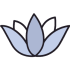 lotus-flower
